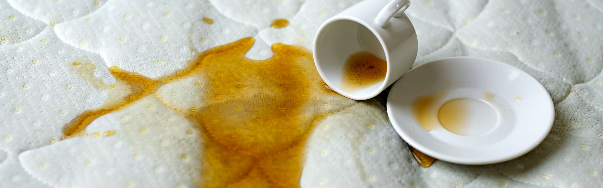 Mattress Safe Waterproof Mattress, Box Spring and Pillow Protectors