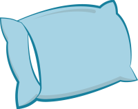 Mattress Safe Pillow protector